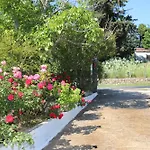 O Ampelonas Tou Kyr Giorgou * Skopelos stad