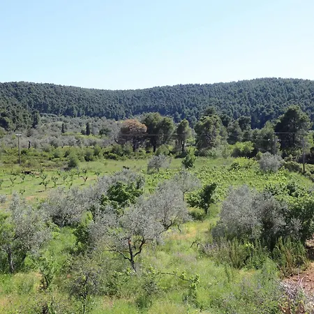 O Ampelonas Tou Kyr Giorgou *