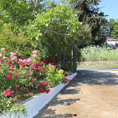 O Ampelonas Tou Kyr Giorgou * Skopelos