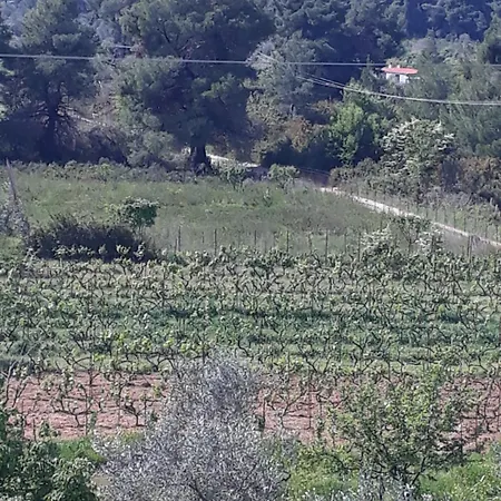 O Ampelonas Tou Kyr Giorgou Апартаменты *