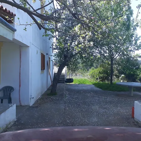 O Ampelonas Tou Kyr Giorgou *