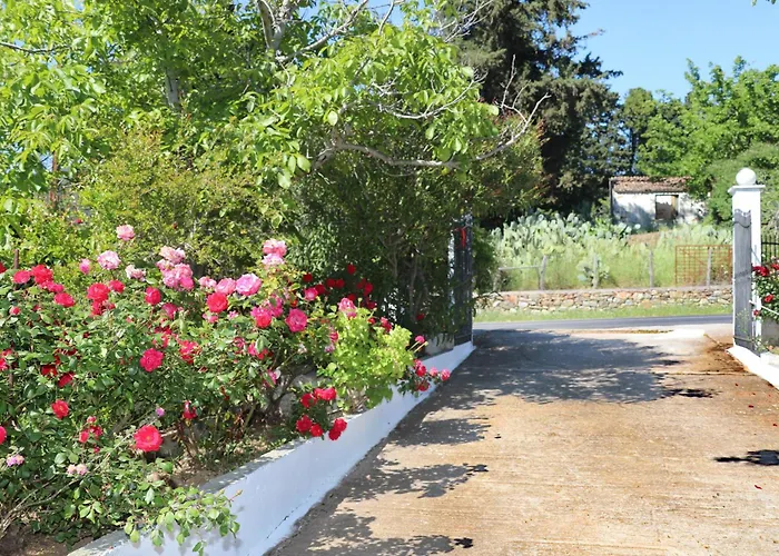 O Ampelonas Tou Kyr Giorgou * スコペロス