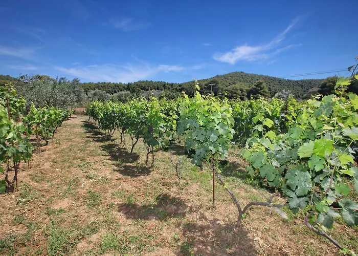 O Ampelonas Tou Kyr Giorgou アパート スコペロス