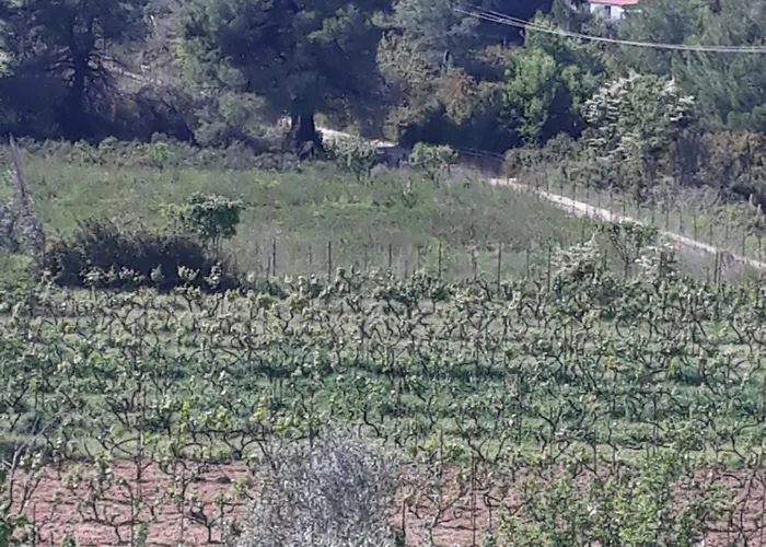 O Ampelonas Tou Kyr Giorgou アパート *