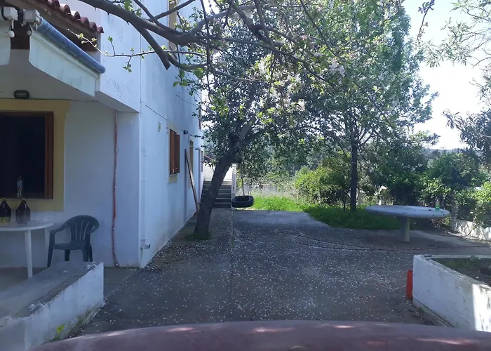 O Ampelonas Tou Kyr Giorgou *